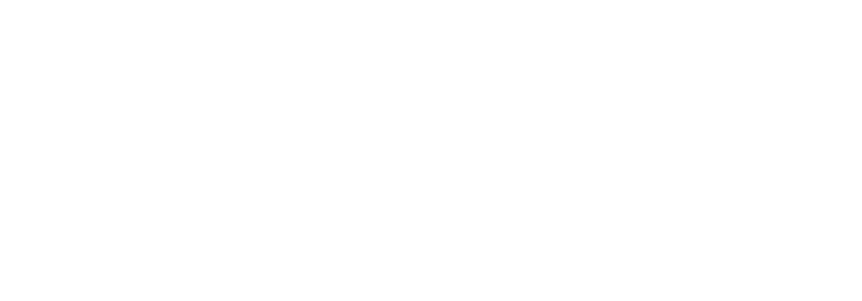 Palmcity